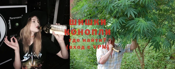 ГАЛЛЮЦИНОГЕННЫЕ ГРИБЫ Балахна