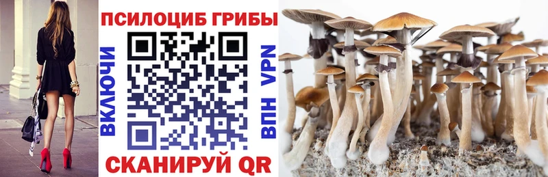 дарнет шоп  Хилок  Галлюциногенные грибы прущие грибы 